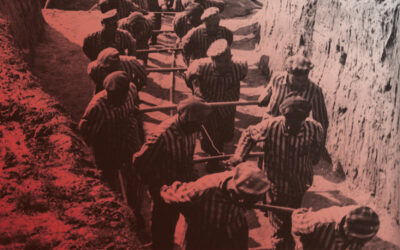 Holocaust i Deportació: Història, Memòria i Cinema