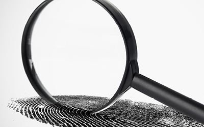 Criminologia per a principiants