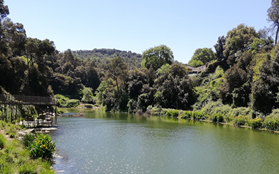 Descobreix la natura del teu entorn