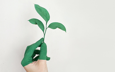 La emergencia climática. NETO-CERO en 2040