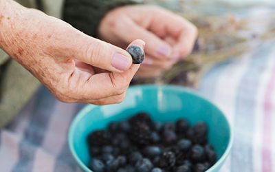 Alimentació per un envelliment saludable