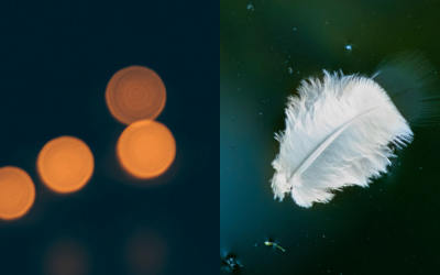 Dues dones barcelonines durant la guerra: Sol i Natàlia